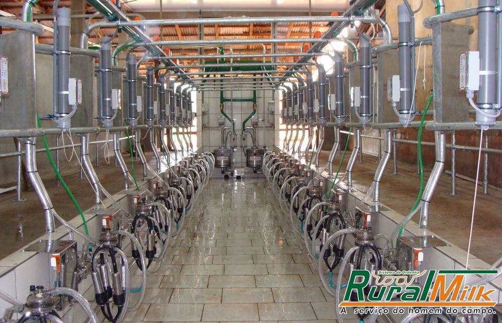 Fazenda Pampulha - Clinte Rural Milk
